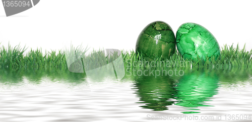 Image of Green eggs mirrored 