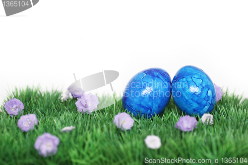 Image of Two blue eggs 
