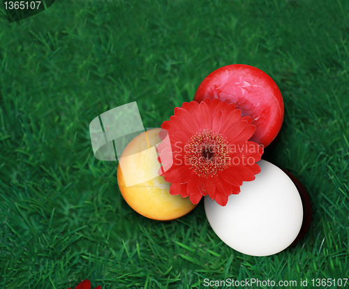 Image of Colorful Easter eggs on green grass 