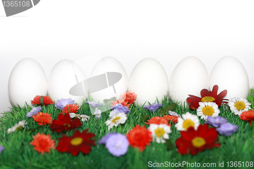 Image of White eggs on a colorful meadow 