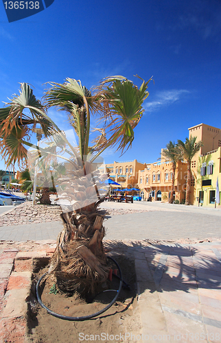 Image of City square in El-Gouna