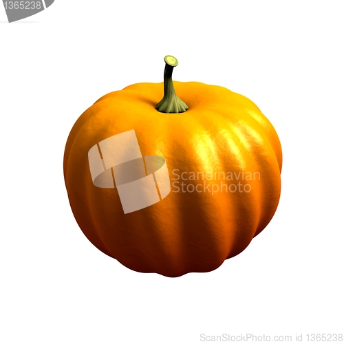 Image of The ripe pumpkin