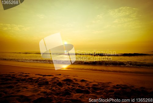 Image of Surfers walking in the beach