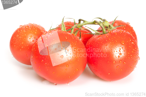 Image of Fresh Tomatoes 