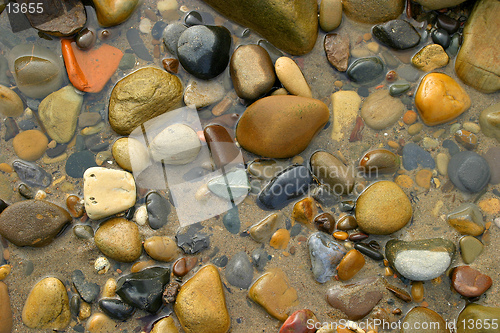 Image of Pebbles on the Beach