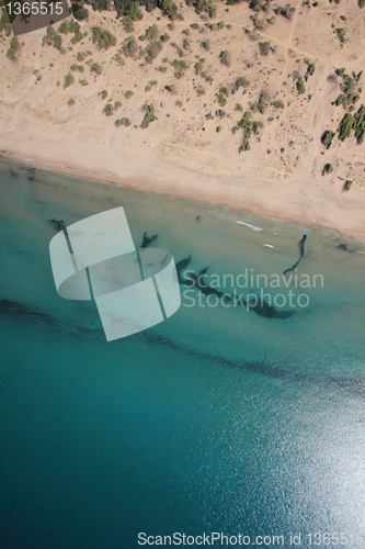 Image of Aerial view on Zakynthos island