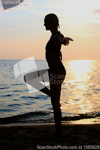 Image of Portrait of young woman as silhouette