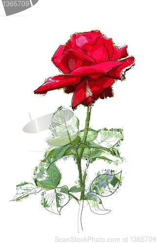 Image of red rose