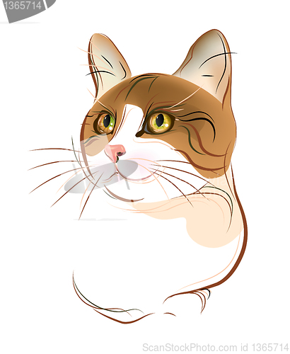 Image of hand drawn portrait of  ginger tabby cat