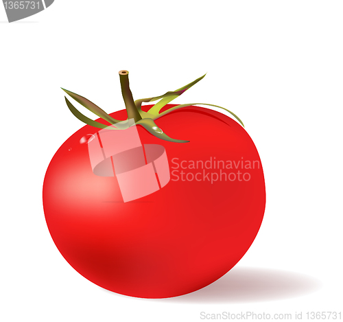Image of red tomato  with water drops