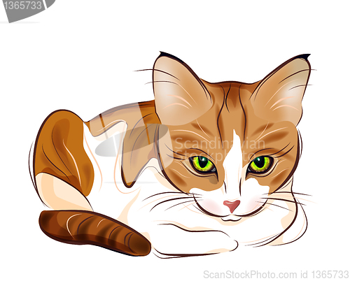 Image of hand drawn portrait of  ginger tabby cat
