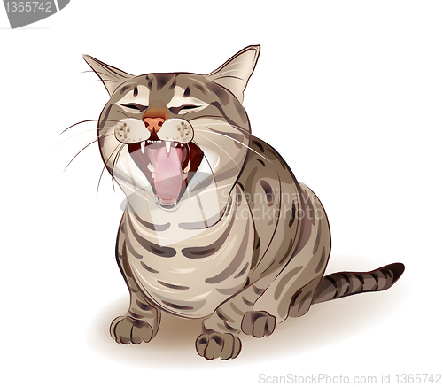 Image of Yelling tabby cat