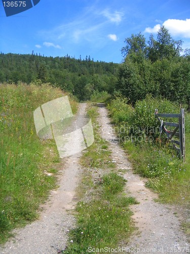 Image of Country road