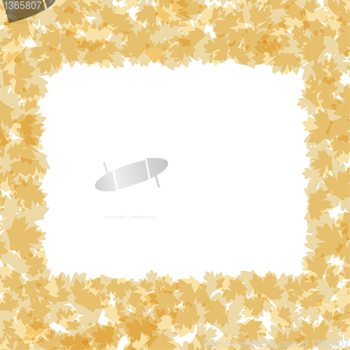 Image of Autumnal leaf of maple border vector frame