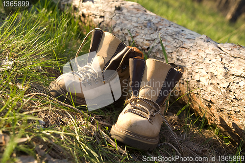 Image of Pair of trekking boots in forest