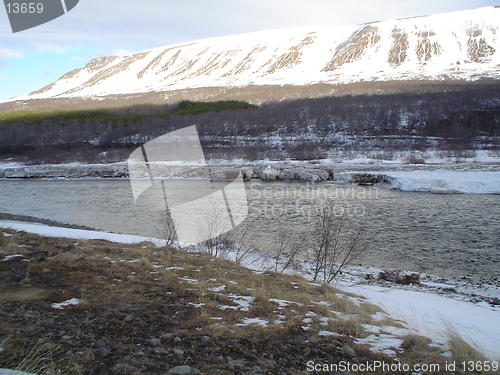 Image of Vaglaskógur in Iceland