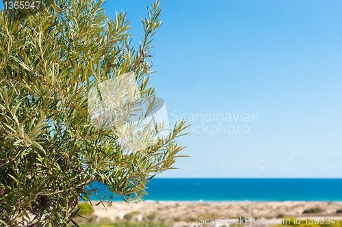 Image of Mediterranean background
