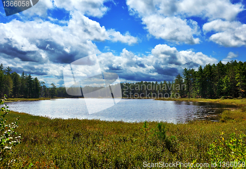 Image of small lake in the forest