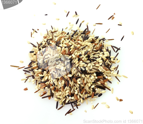 Image of wild rice blend