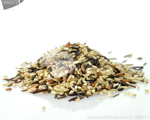 Image of wild rice blend 