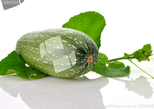 Image of zucchini