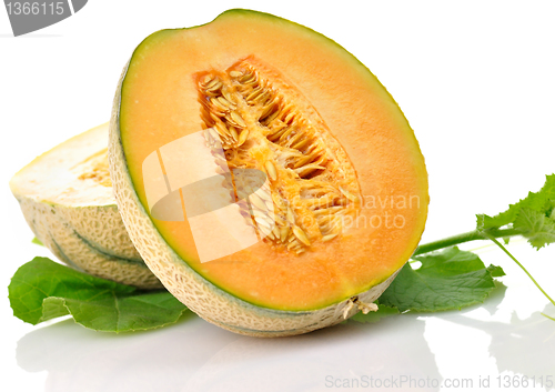 Image of melon