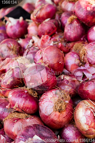 Image of Red onion