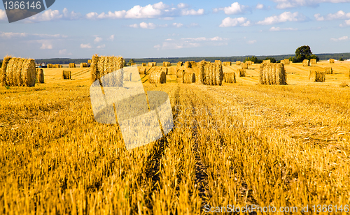 Image of Straw stack