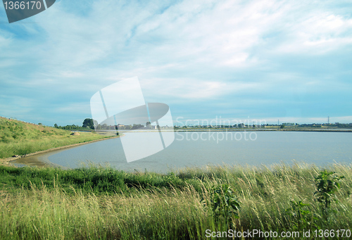 Image of Paddy field