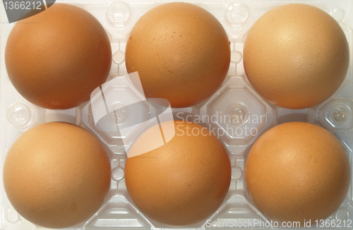 Image of Eggs picture