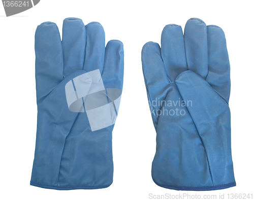 Image of Gloves picture