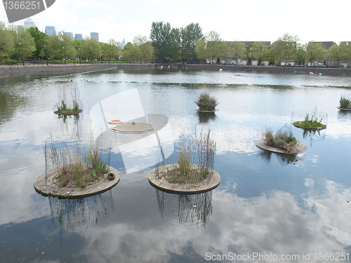 Image of Surrey Water, London