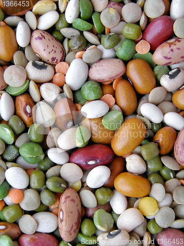 Image of Beans salad