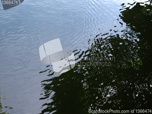 Image of Water picture