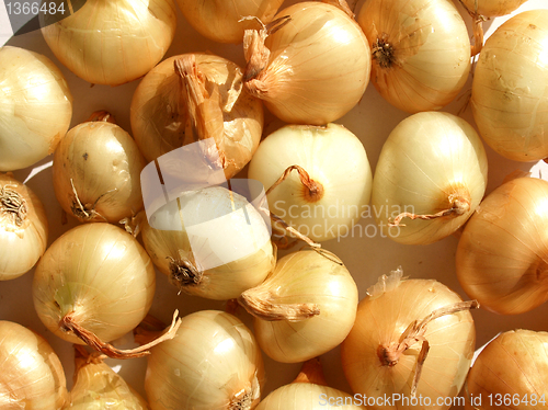 Image of Onions picture