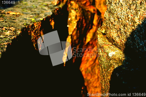 Image of golddigger