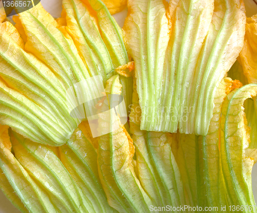 Image of Courgette flowers
