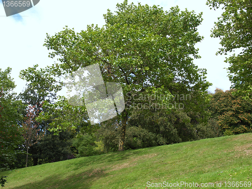 Image of Kelvingrove, Glasgow