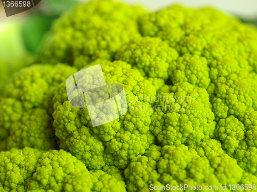 Image of Cauliflower