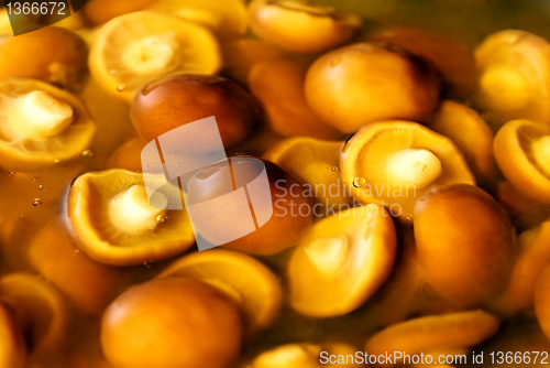 Image of Nameko mushrooms