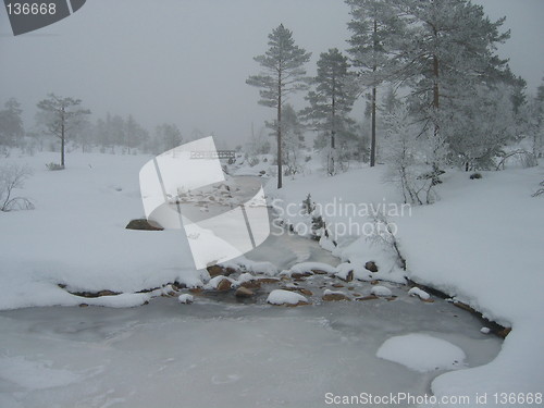 Image of Wintertime