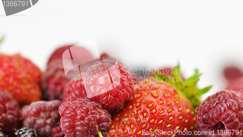 Image of fresh fruits