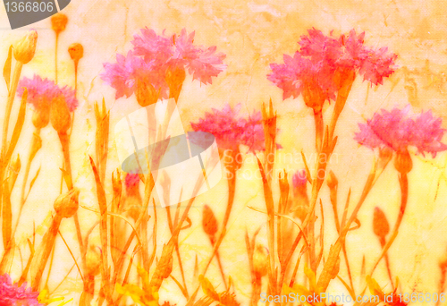 Image of floral background