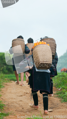 Image of Hill tribe women in Sapa, Vietnam