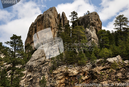 Image of mountain forest