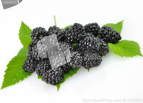 Image of Blackberry