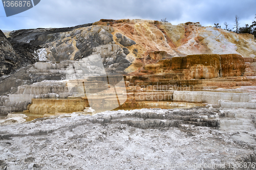 Image of  Mammoth Hot Springs in Yellowstone National Park 