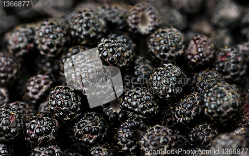Image of blackberries