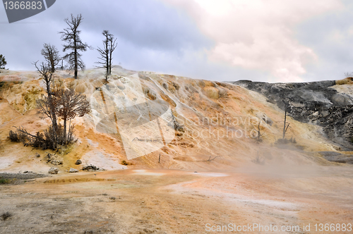 Image of Mammoth Springs. Yellowstone National Park, Wyoming 