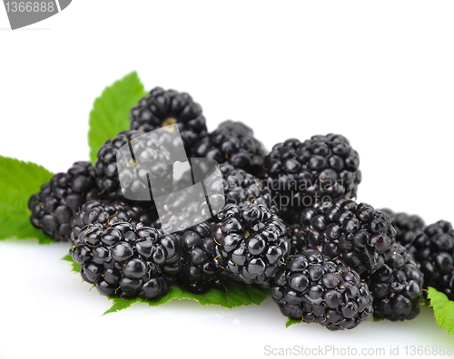 Image of Blackberry 